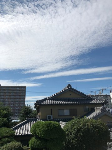 仲介手数料0！！ウインズ名城の展望