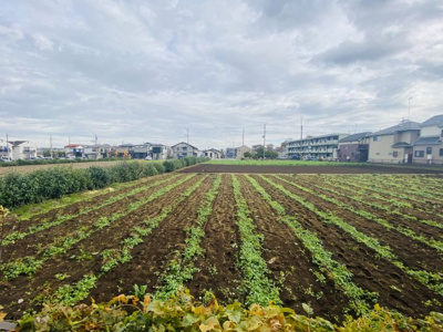 【展望】 | 所沢市東新井町　中古 | 東側隣地は畑になっており癒されます♪