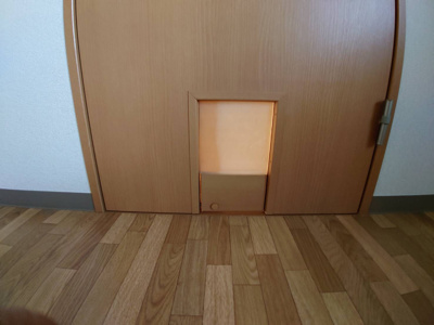 【その他】 | アビリティ居能