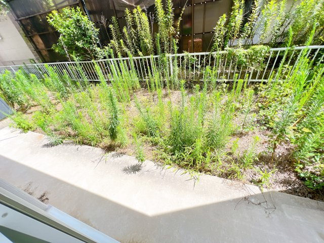 シャルマンハイツのバルコニー