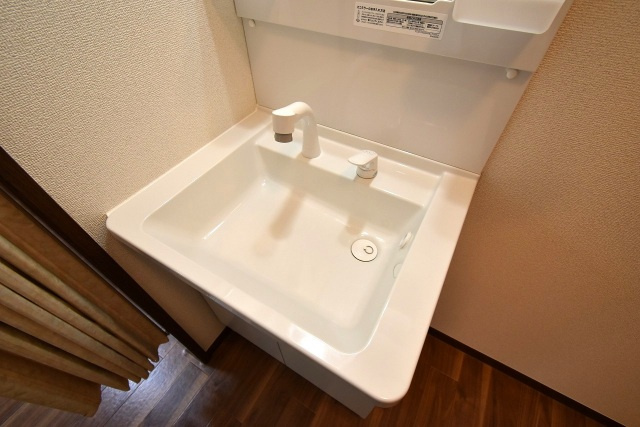 グランデュール横山 C棟の洗面所