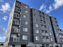 シュガーレイの画像