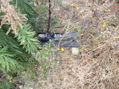  | 淡路市岩屋住宅地 | 水道引込画像