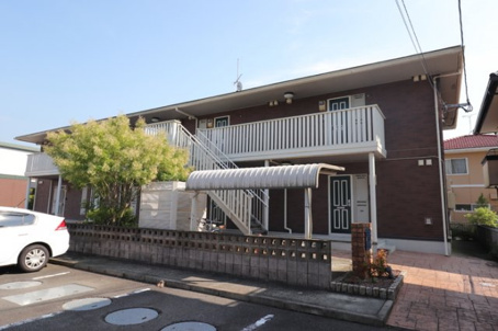 パテル・ヴィオラの画像