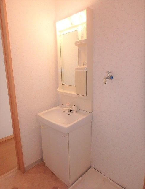 タカノパレスの洗面所