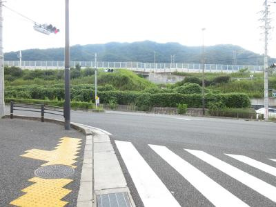 パーシモンヒル田原の周辺|前面道路
