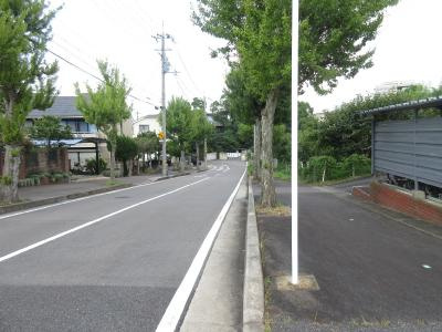 パーシモンヒル田原の地図|前面道路