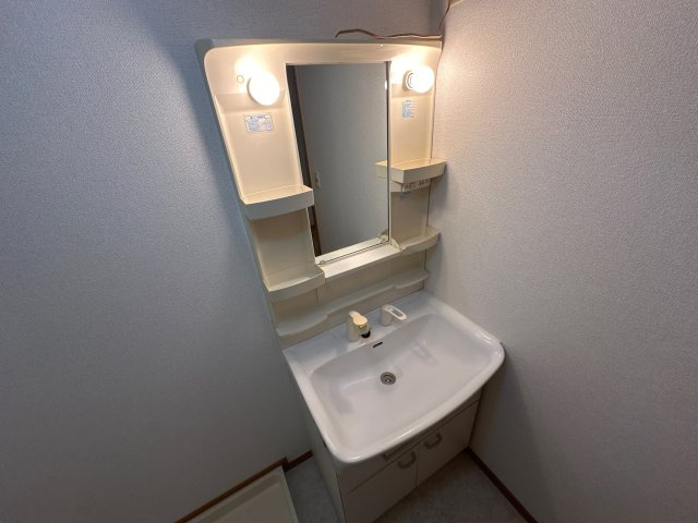 ロータスコートの洗面所