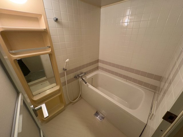 リズ市川平田のその他