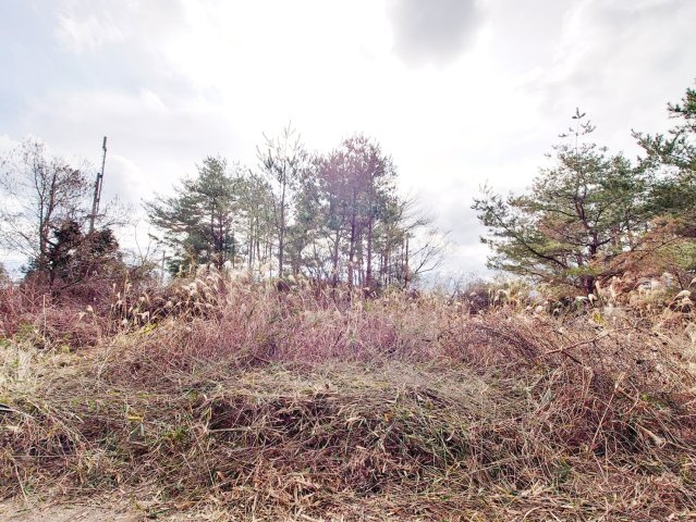 陽当たり良好の南向き☆周辺に建物が無く通風良好☆駐車場・畑・資材置き場用地に最適☆茨木市大字銭原