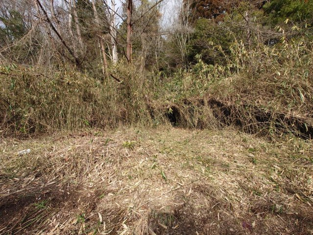 陽当たり良好の南向き☆周辺に建物が無く通風良好☆駐車場・畑・資材置き場用地に最適☆茨木市大字銭原の外観|現状 更地(2024年2月撮影)