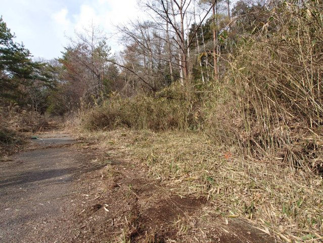 陽当たり良好の南向き☆周辺に建物が無く通風良好☆駐車場・畑・資材置き場用地に最適☆茨木市大字銭原の前面道路含む現地写真|前道(2024年2月撮影)