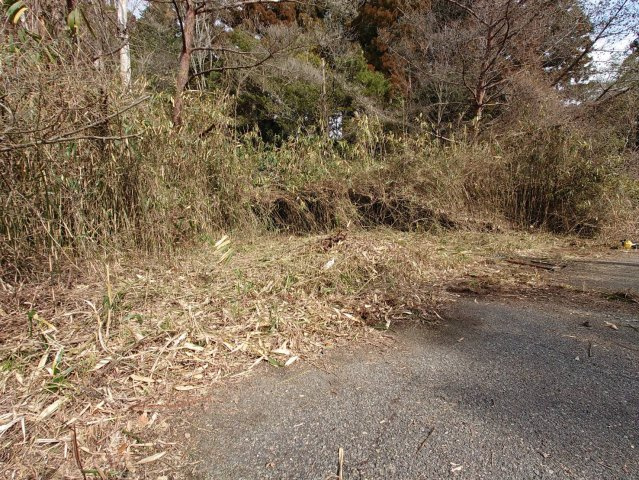 陽当たり良好の南向き☆周辺に建物が無く通風良好☆駐車場・畑・資材置き場用地に最適☆茨木市大字銭原の前面道路含む現地写真|前道(2024年2月撮影)