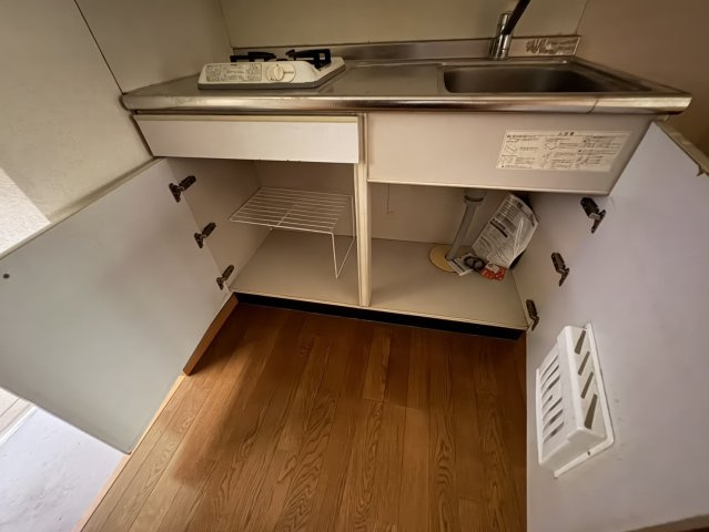 サラスバティ・辻井のその他