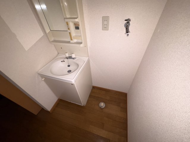 サラスバティ・辻井の洗面所