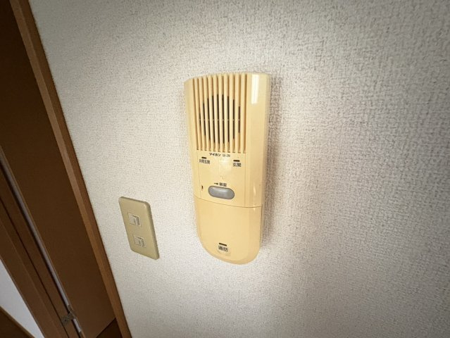 サラスバティ・辻井のセキュリティ