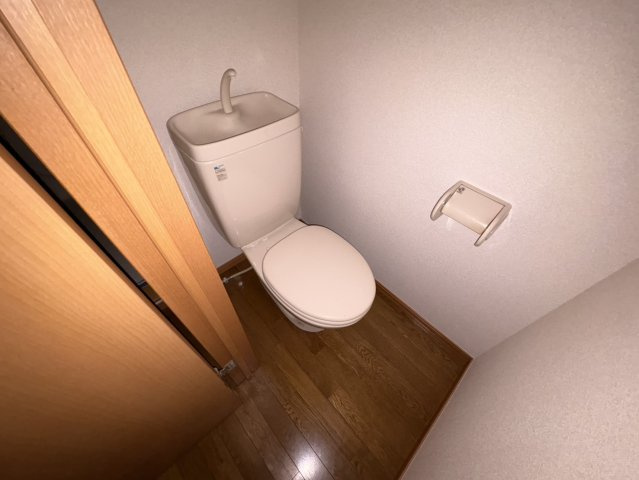 サラスバティ・辻井のトイレ