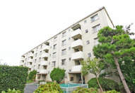 高洲第一の画像