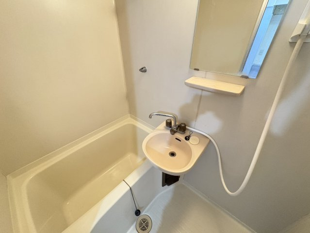 プラムハウスⅠの洗面所