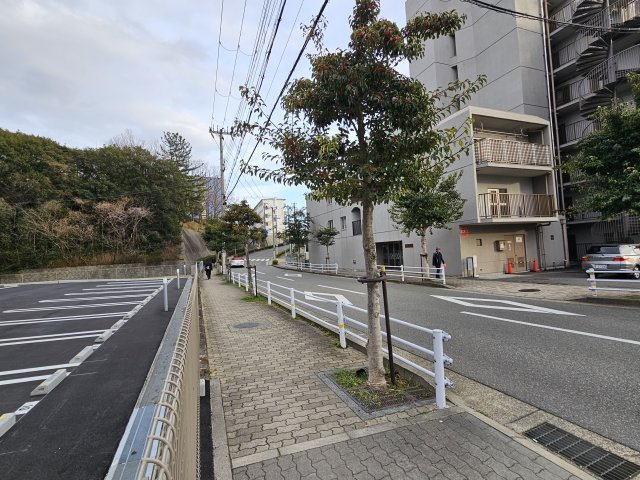 リアン朝霧の展望