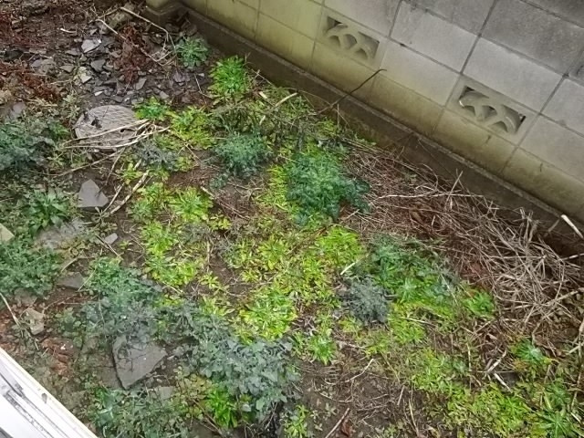 ハミング21のバルコニー