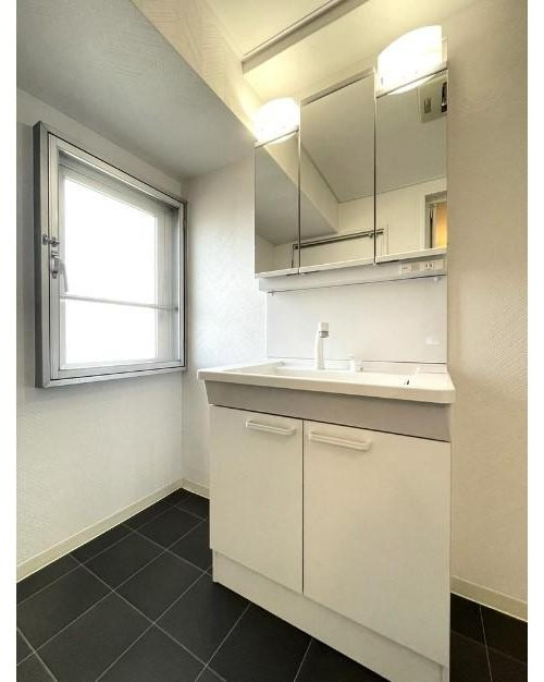 セントラルハイツ淀の独立洗面台