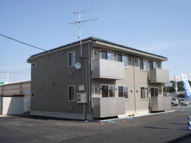 オーククレインの画像