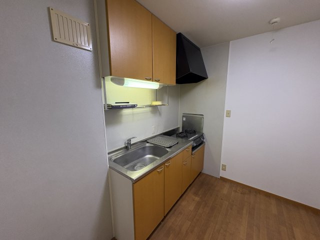 エントピアＡのその他