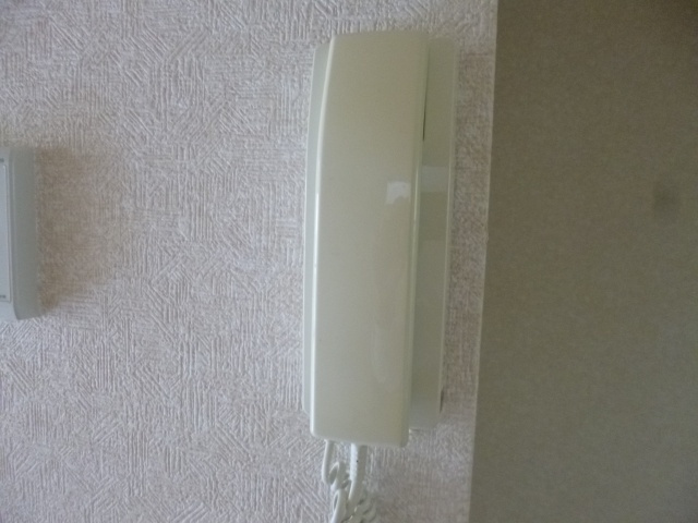 セジュール大柏のセキュリティ
