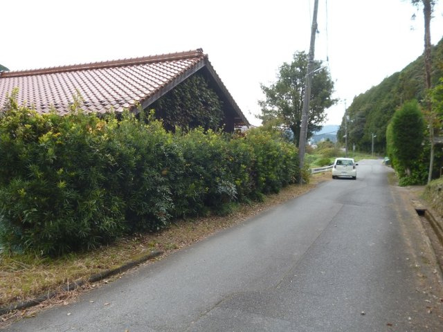 天花　売土地の前面道路含む現地写真