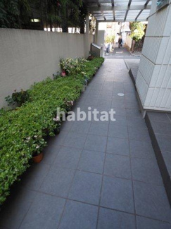 【エントランス】 | 緑も垣間見え、広さも気持ちいい共用部分です