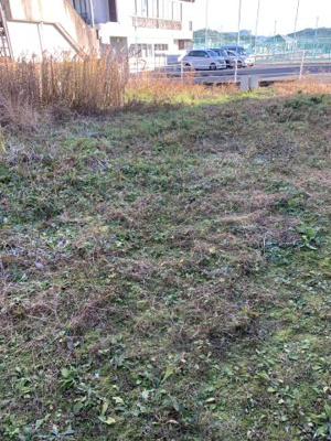 【外観】 | 枝川売地