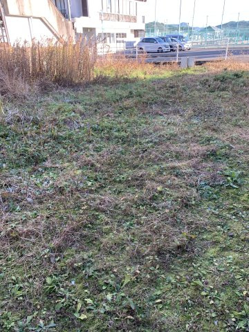 【外観】 | 枝川売地