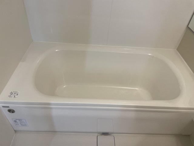 D-Place安田の浴室