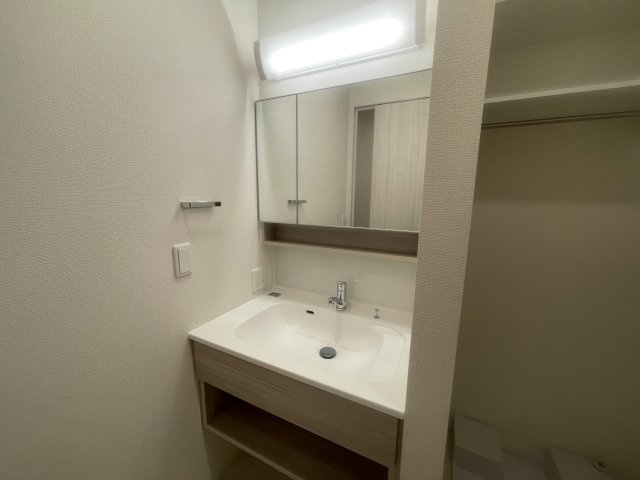 ロワイヤル綿町の洗面所