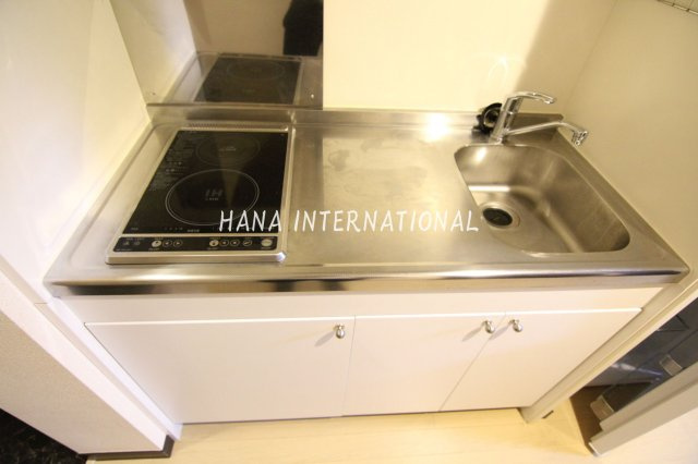 レオネクストアルカディアのキッチン