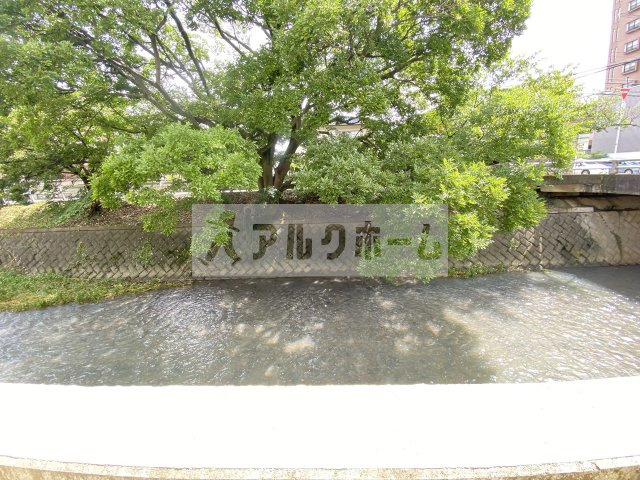 さくらハウスの展望