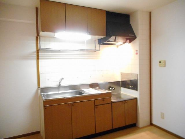 フリュイティア１のキッチン|キッチン