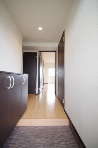 熊本市南区田井島２丁目の賃貸マンションの玄関