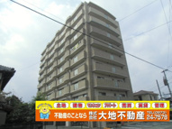 パルデンス・エコノⅤの画像