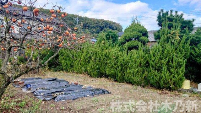 鴨方町鴨方売家の庭