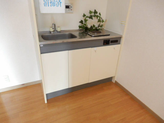 ブライストンハイツのキッチン