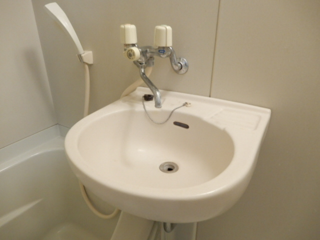 ブライストンハイツの洗面所