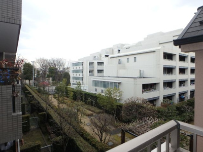 【展望】 | ＢＥＣＫ元住Ⅱ