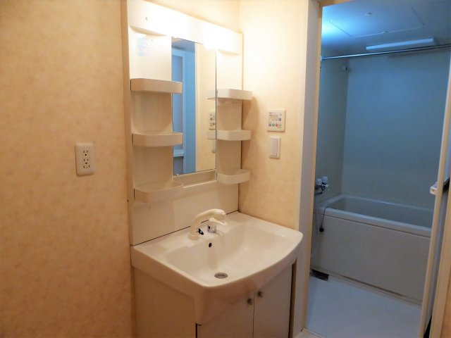 ドリームコートの洗面所