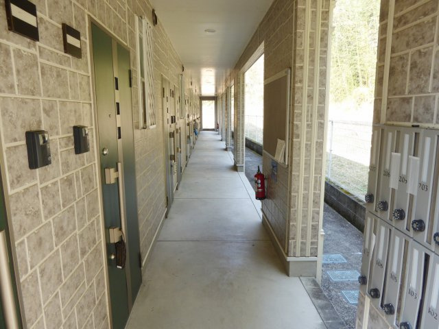 ドリームコートのその他