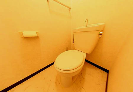 和泉市上町の賃貸マンションのトイレ|コンパクトで使いやすいトイレです