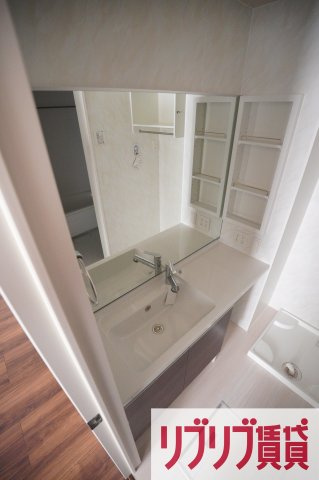 Capital Court（キャピタルコート）の洗面所