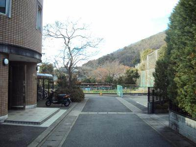 エルム松ヶ崎の地図|前面道路