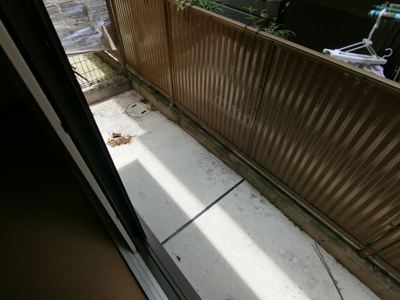 【バルコニー】 | アネックス大仙